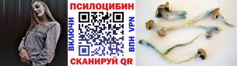 Галлюциногенные грибы Psilocybe  Арамиль 
